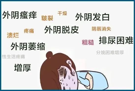怎样判断自己得了外阴白斑 怎样判断自己得了外阴白斑