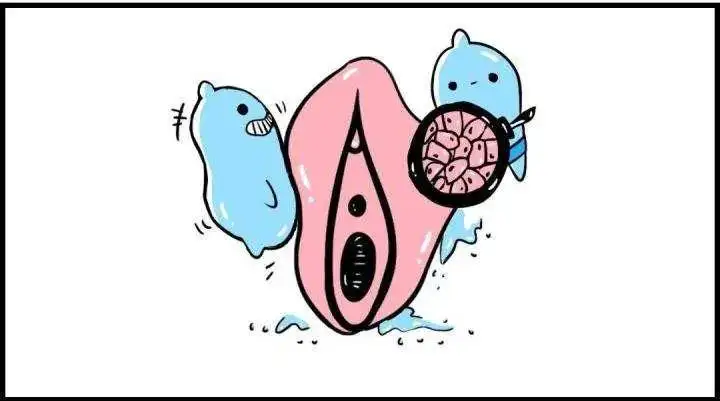 女人的外阴白斑能治愈吗